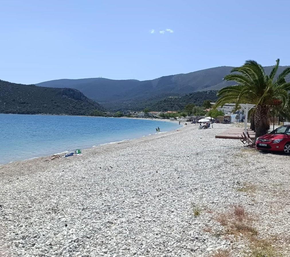 Alexadra'S House Κάτω Αλμυρή Apartment Bagian luar foto