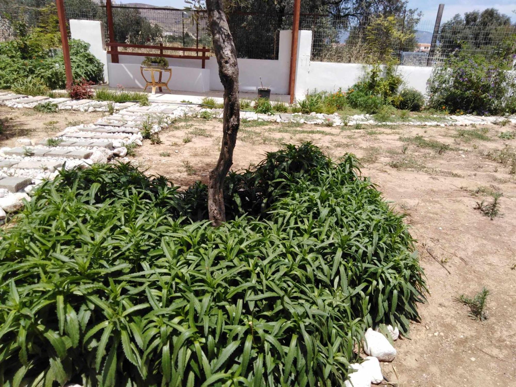 Alexadra'S House Κάτω Αλμυρή Apartment Bagian luar foto